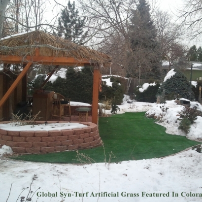 Synthetic Grass Oak Park, California Landscaping, Snow