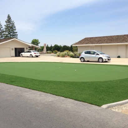 Synthetic Lawn Fellows, California Home And Garden, Landscaping Ideas For Front Yard