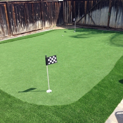 Synthetic Lawn Hermosa Beach, California Golf Green, Backyard Makeover