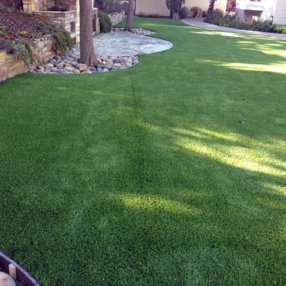 Synthetic Lawn South San Gabriel, California Pet Grass, Backyard Garden Ideas