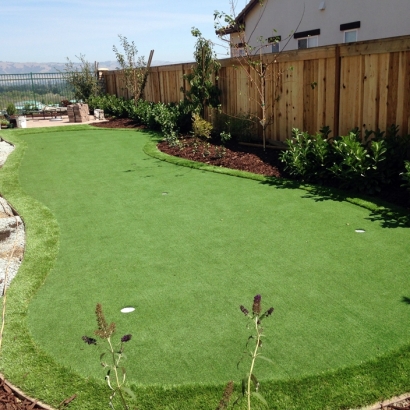 Synthetic Turf Poso Park, California Backyard Putting Green, Backyard Landscaping Ideas
