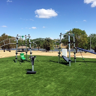 Turf Grass Cerritos, California Indoor Playground, Recreational Areas