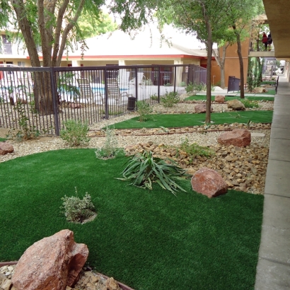Turf Grass Goleta, California Landscape Ideas, Commercial Landscape
