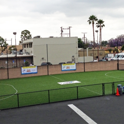 Turf Grass Hollywood, California Backyard Sports, Commercial Landscape