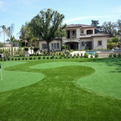 Turf Grass Tehachapi, California Artificial Putting Greens, Front Yard Landscaping