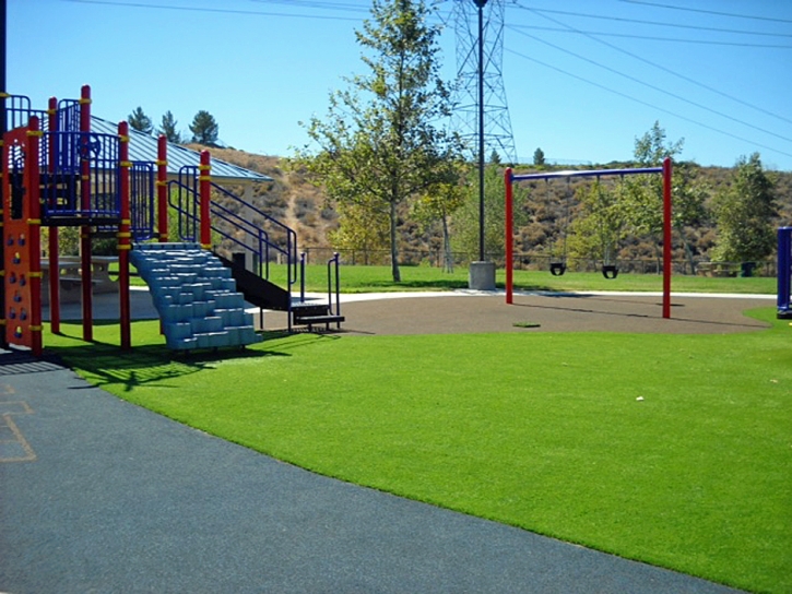 Artificial Grass Carpet Glendora, California Design Ideas, Parks