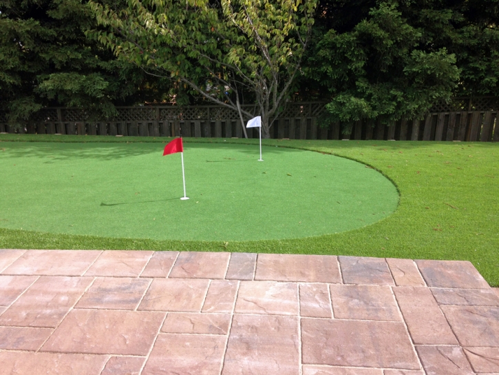 Artificial Grass Carpet Inglewood, California Lawns, Backyard Designs