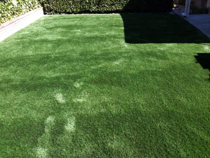 Artificial Grass Carpet Monterey Park, California Landscaping Business, Backyard Landscaping
