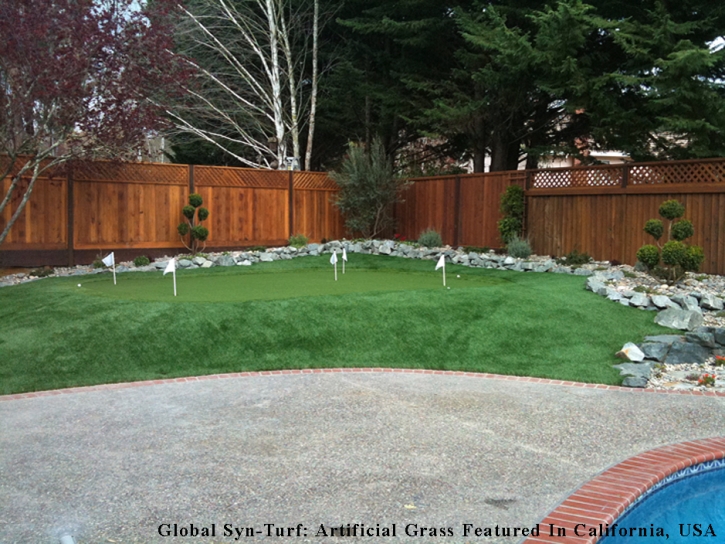 Artificial Grass Carpet Moorpark, California Backyard Putting Green, Backyard Landscaping