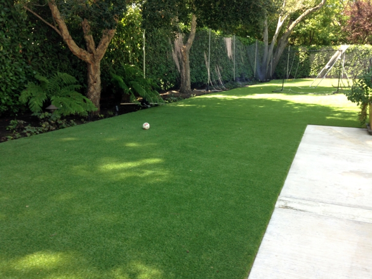 Artificial Grass Carpet Rolling Hills, California Gardeners