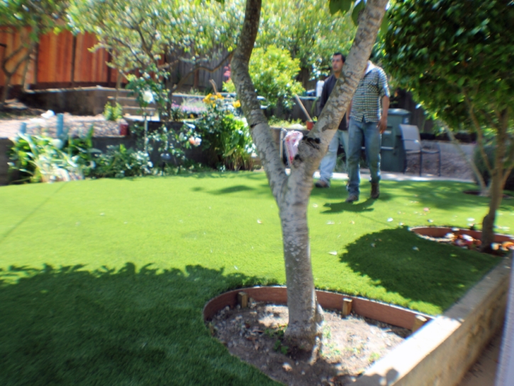 Artificial Grass Casa Conejo, California City Landscape, Backyard Designs