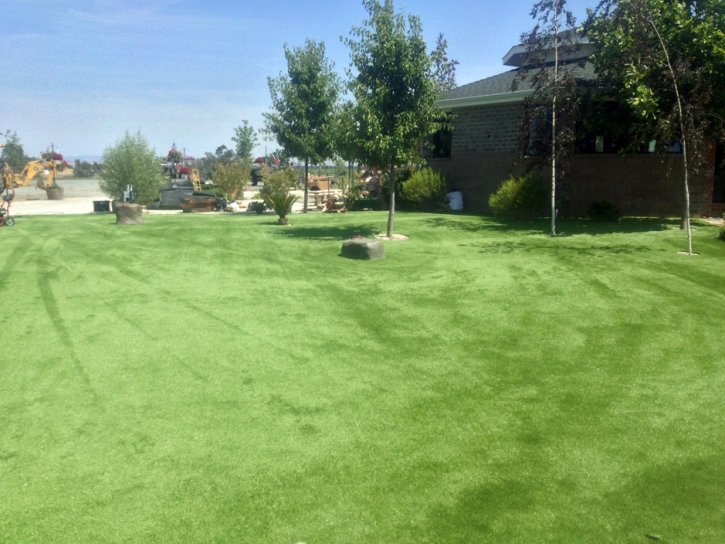 Artificial Grass Downey, California Dog Park, Parks