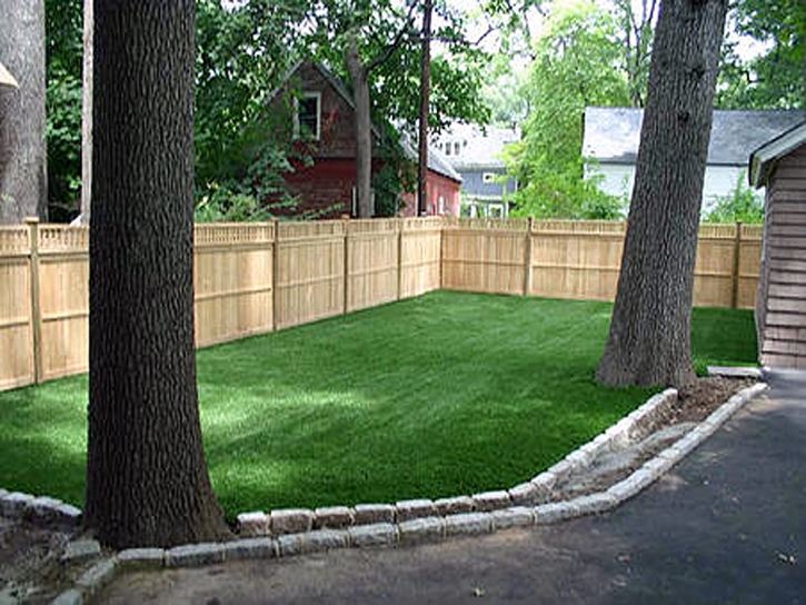 Artificial Grass Installation Mead Valley, California Gardeners, Backyard Ideas