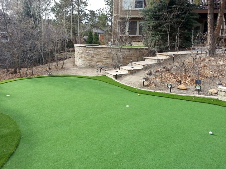 Artificial Grass Pismo Beach, California Landscape Ideas, Backyard Ideas