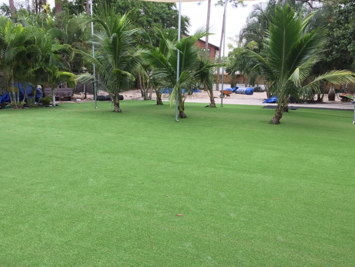 Artificial Grass Universal City, California Backyard Playground, Commercial Landscape