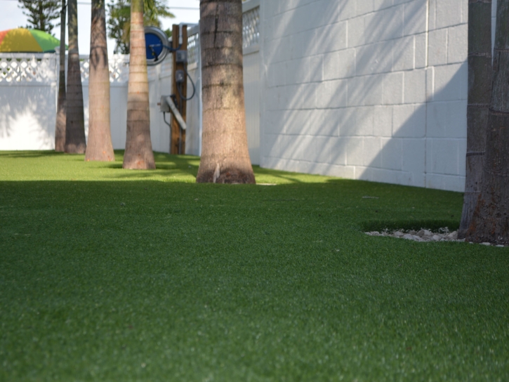 Artificial Grass Valencia, California Landscaping, Commercial Landscape