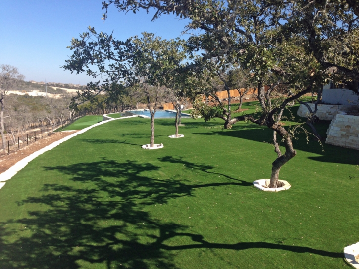 Artificial Turf Arroyo Grande, California Home And Garden, Natural Swimming Pools