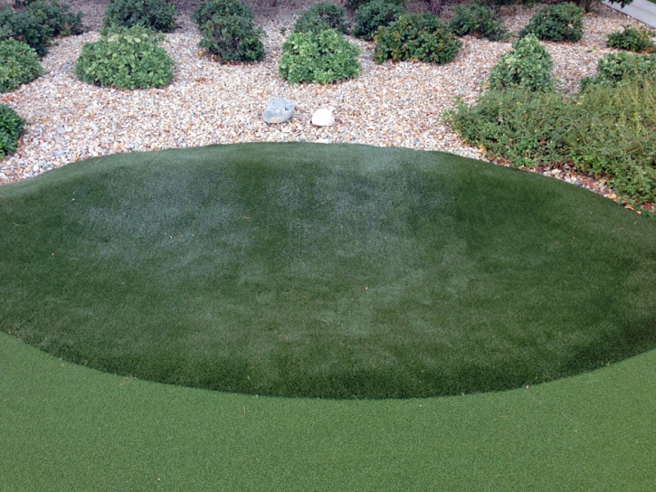Artificial Turf Belvedere, California Putting Green Carpet