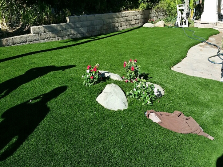 Artificial Turf Cost Moorpark, California Landscape Design, Landscaping Ideas For Front Yard