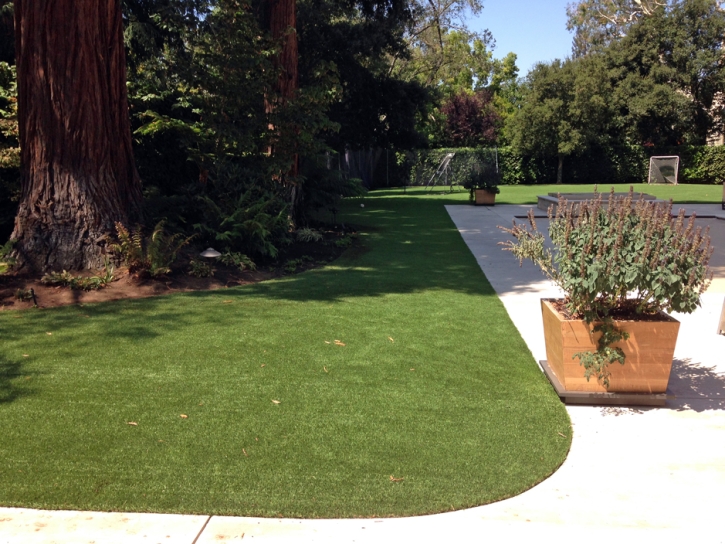 Artificial Turf Irwindale, California Landscape Rock, Front Yard