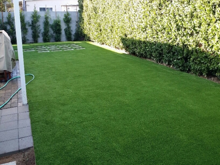 Artificial Turf Malibu, California Backyard Playground, Backyard Landscape Ideas