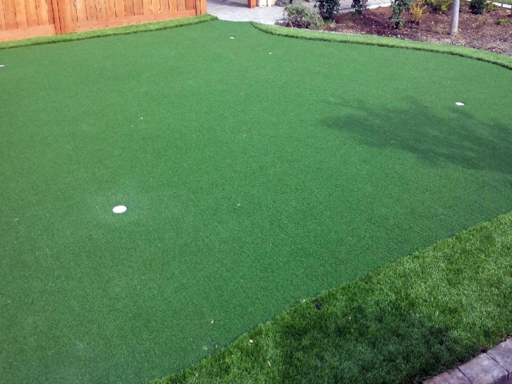 Artificial Turf Rosemead, California Outdoor Putting Green