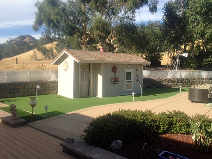 Best Artificial Grass Acton, California Putting Green, Commercial Landscape