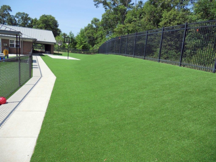 Best Artificial Grass Baldwin Park, California Landscape Design, Commercial Landscape