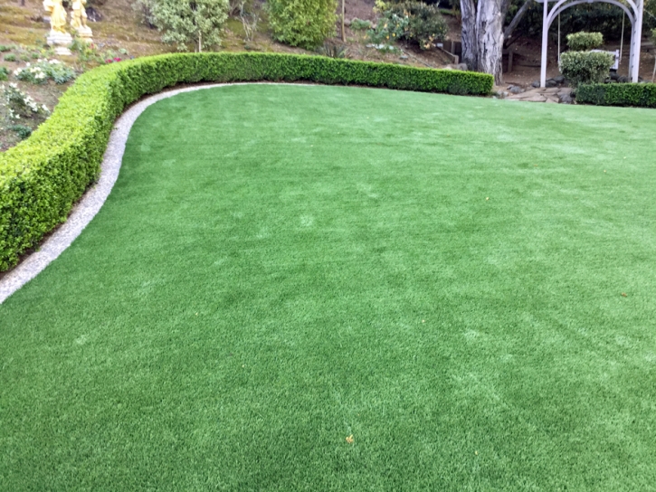 Best Artificial Grass Meiners Oaks, California Landscape Ideas, Backyard Ideas