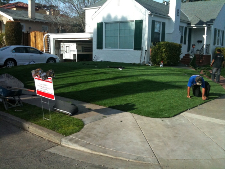 Best Artificial Grass San Pedro, California Landscape Photos, Small Front Yard Landscaping