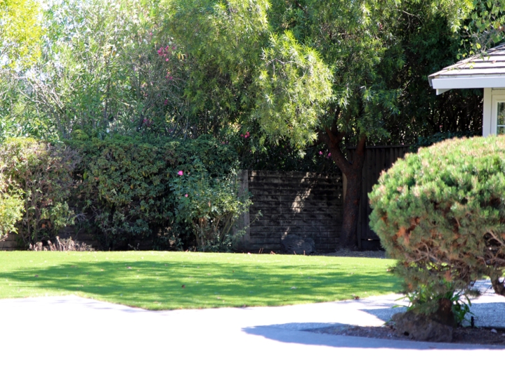 Best Artificial Grass Santa Clarita, California Landscape Ideas, Front Yard Landscaping
