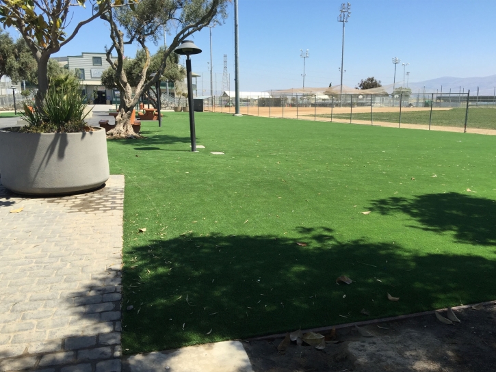 Best Artificial Grass View Park-Windsor Hills, California Landscape Design, Parks