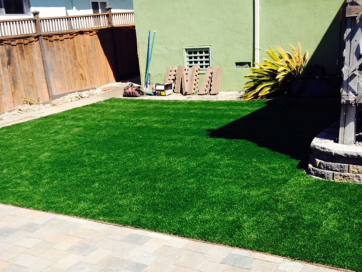 Fake Grass Carpet Avila Beach, California Rooftop, Backyard Designs