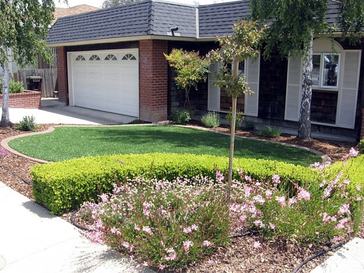Fake Grass Carpet Mead Valley, California City Landscape, Small Front Yard Landscaping