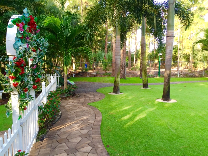 Fake Grass Carpet Montecito, California Landscape Ideas, Backyard Design