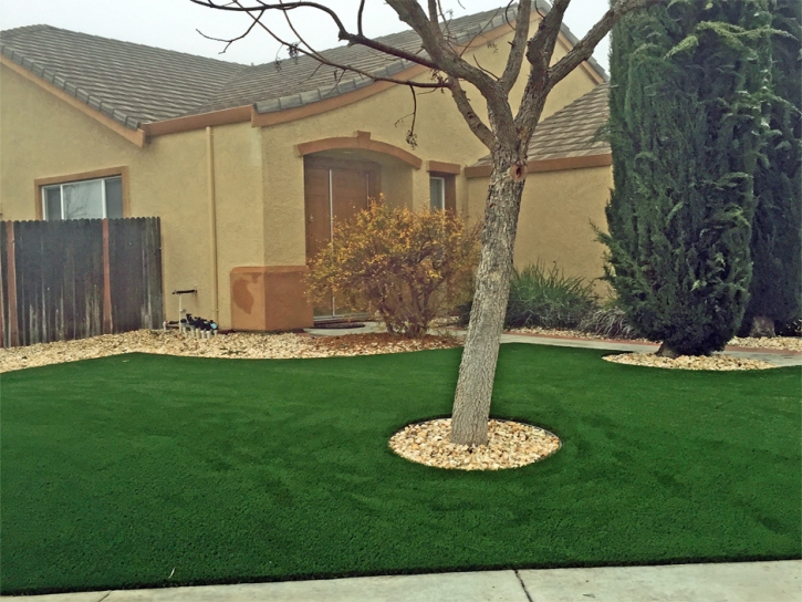 Fake Grass Carpet Ojai, California Landscape Photos, Front Yard Ideas