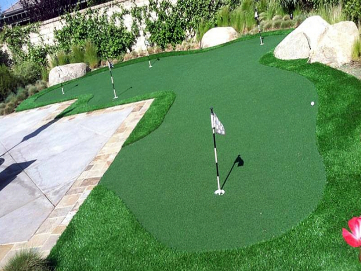 Fake Grass Casmalia, California Outdoor Putting Green, Backyard Landscaping Ideas