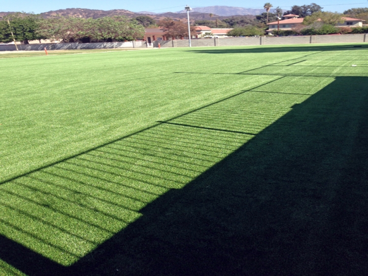 Fake Grass Covina, California Landscape Design