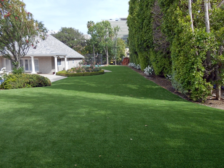 Fake Grass Edna, California Garden Ideas, Front Yard Landscaping Ideas