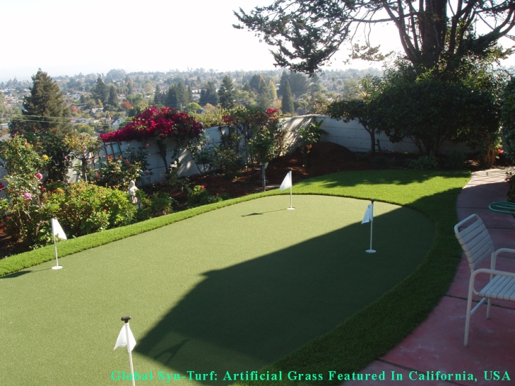 Fake Lawn Oak View, California Backyard Putting Green, Backyard Design