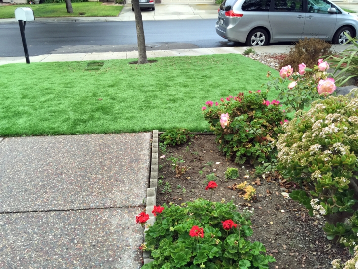 Fake Turf Los Serranos, California Landscape Ideas, Front Yard Ideas