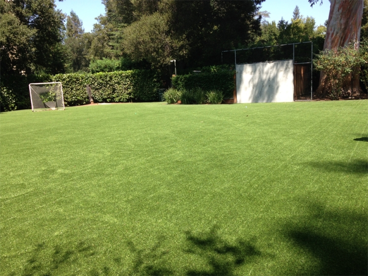 Fake Turf Vernon, California Football Field, Backyard Garden Ideas