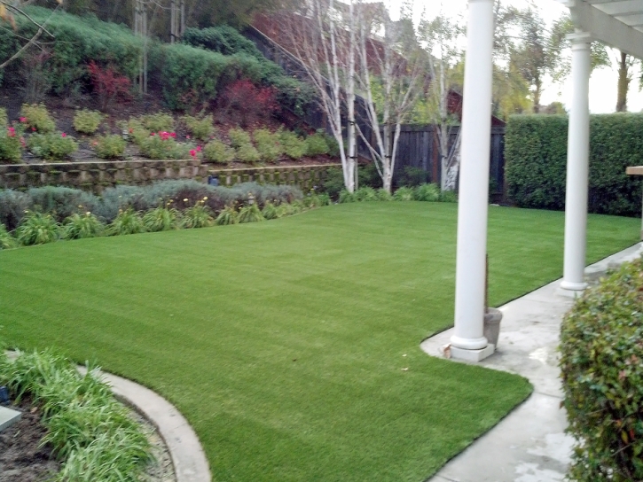 Faux Grass Aliso Viejo, California Grass For Dogs, Backyard Landscaping Ideas