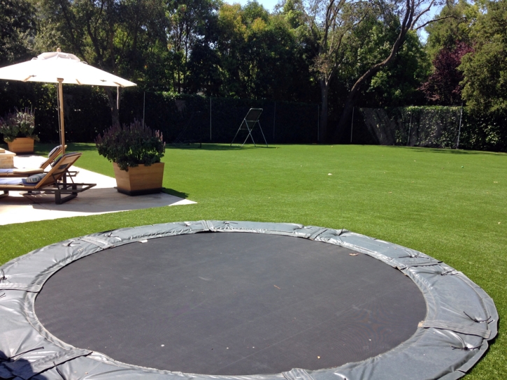 Faux Grass Lakewood, California Landscaping Business, Beautiful Backyards