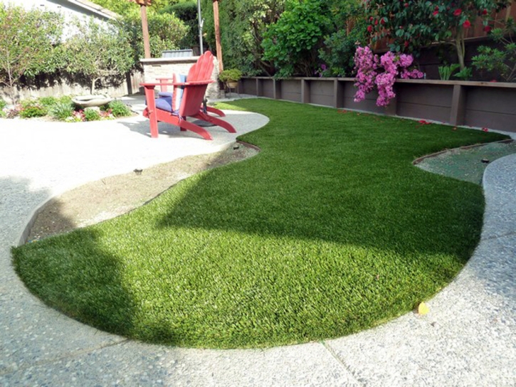 Faux Grass Thousand Oaks, California Hotel For Dogs, Backyard Landscaping