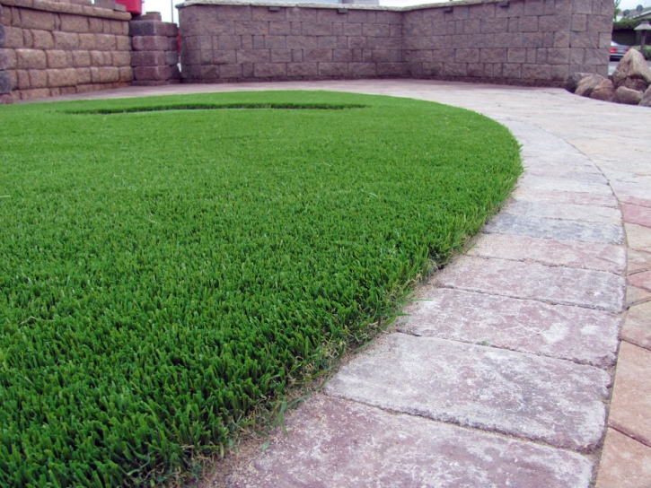 Grass Carpet Florence-Graham, California Dog Pound, Front Yard Landscape Ideas