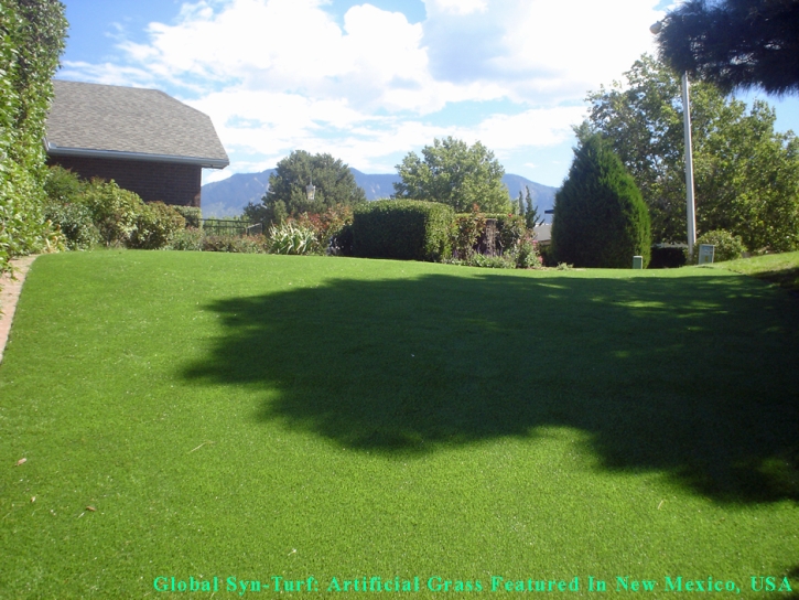 Grass Installation Camarillo, California Artificial Turf For Dogs, Backyard Landscape Ideas