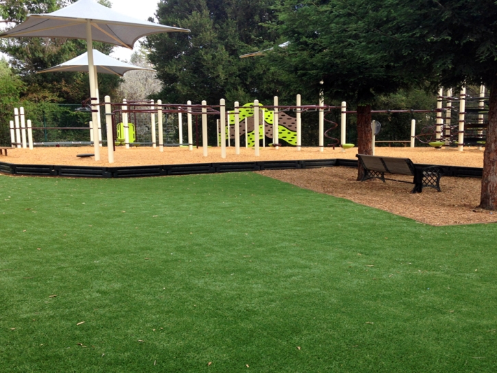 Grass Turf Perris, California Athletic Playground, Backyard Design