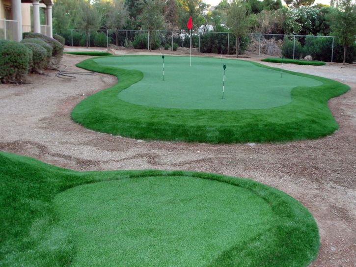 Grass Turf Woodland Hills, California Putting Green Carpet, Backyard Designs