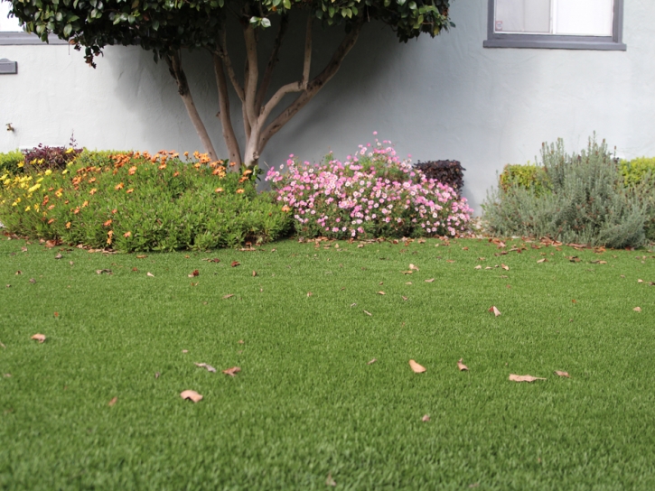 How To Install Artificial Grass Port Hueneme, California Home And Garden, Small Front Yard Landscaping
